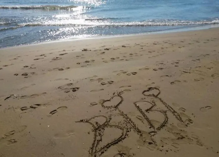 Swimming Pool And Fun In *